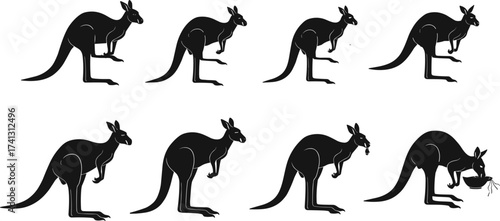 Kangaroo feeding behavior sequence vector illustration showing movement stages from standing to crouching and eating in cartoon style