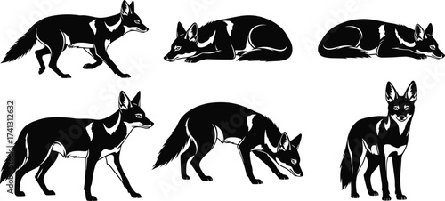 Set of black and white fox silhouette illustrations showing various poses including walking, sleeping, sniffing, lying, alert, and standing