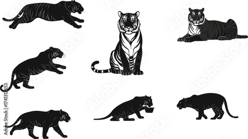 Set of black and white tiger illustrations in various poses including walking, sitting, crouching, feeding, leaping, and resting postures