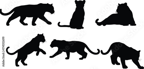 Set of black panther silhouette illustrations in various poses including walking, sitting, crouching, prowling, and standing for vector design