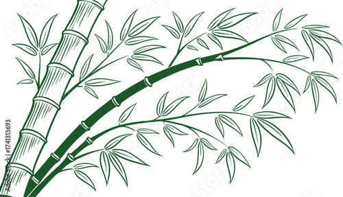 Elegant depiction of a bamboo plant in vector art style, showcasing its natural beauty and versatility, suitable for various design applications and projects