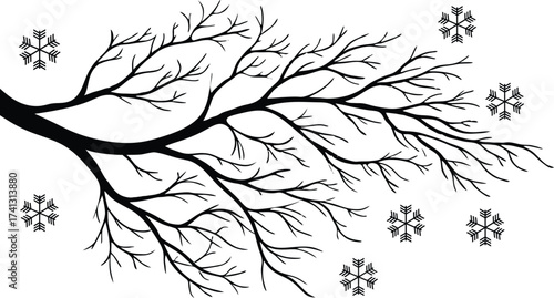 Bare tree branches in silhouette adorned with delicate snowflakes, evoking a serene winter scene suitable for festive and natural themes