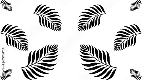 Symmetrical black and white pattern of stylized fern fronds on a white background. A minimal and elegant botanical graphic design illustration