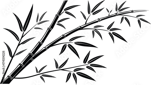 Elegant Monochrome Vector Illustration of Bamboo Stalks and Leaves for Decorative Design, Botanical Elements, and Natural Backgrounds
