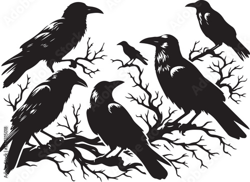 crow and raven silhouette set flying and standing birds vector icon