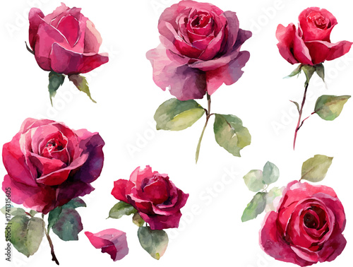 bouquet of roses