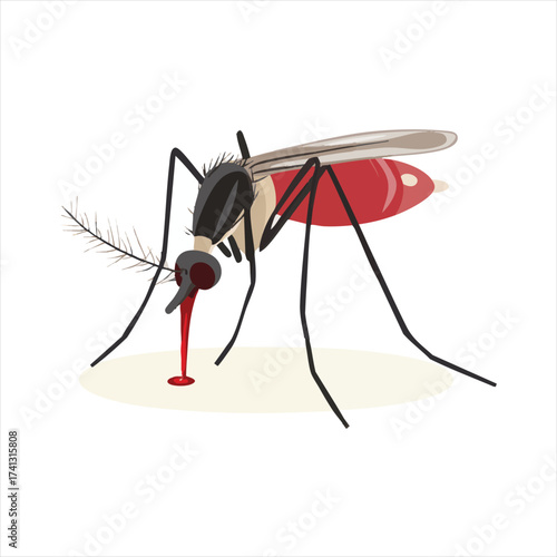 vector Mosquito feeding on blood