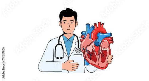 Cartoon Doctor Holding Human Heart Illustration for Cardiology and Health.