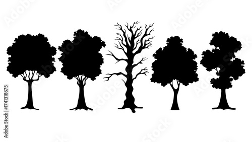 Vector silhouette of oak tree on white background