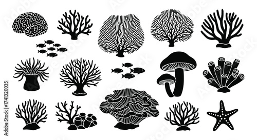 Black coral fish mushroom starfish illustrations vector