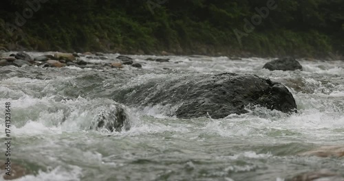 8K horizontal macro view of Fırtına River rapids crashing over rocks. The dynamic water movement shows the raw power and rhythm of untouched Turkish nature