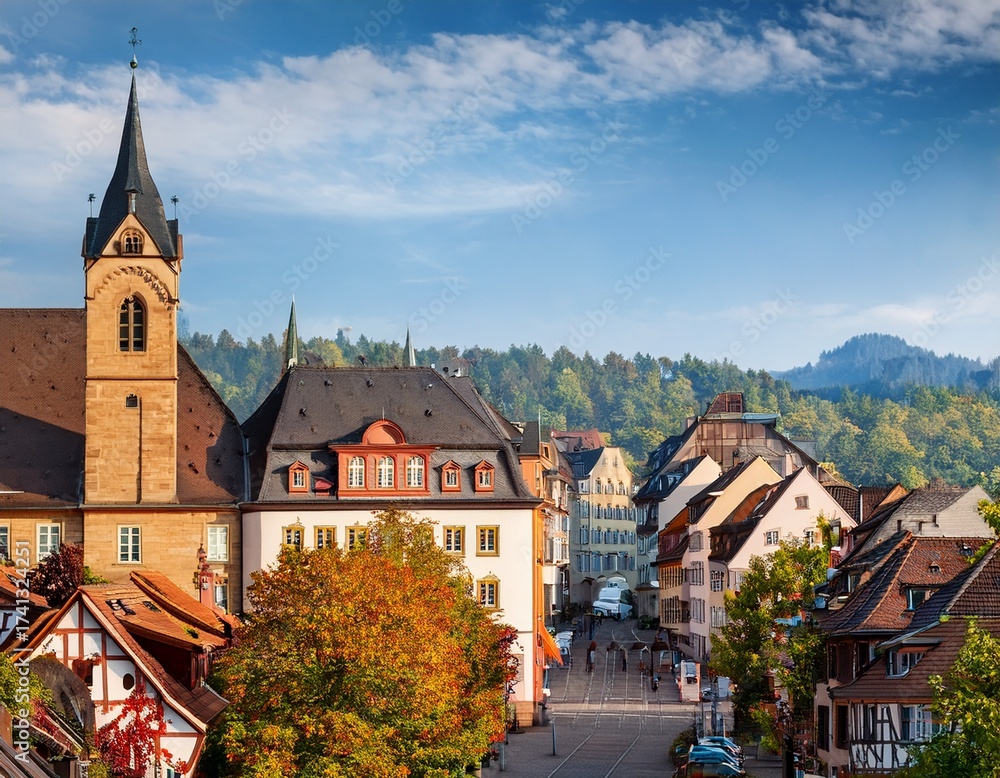 Naklejka premium freiburg im breisgau