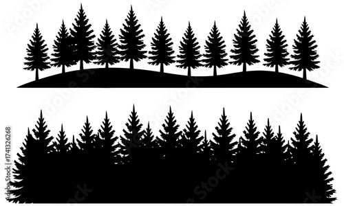 Silhouette of two rows of pine trees view