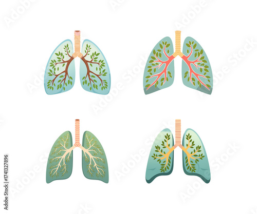 Respiratory System Nature Concept