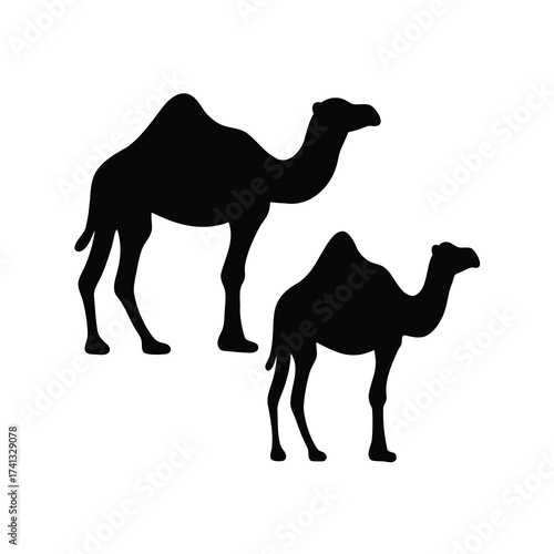 Two camel silhouettes standing in the desert under the sun with peace