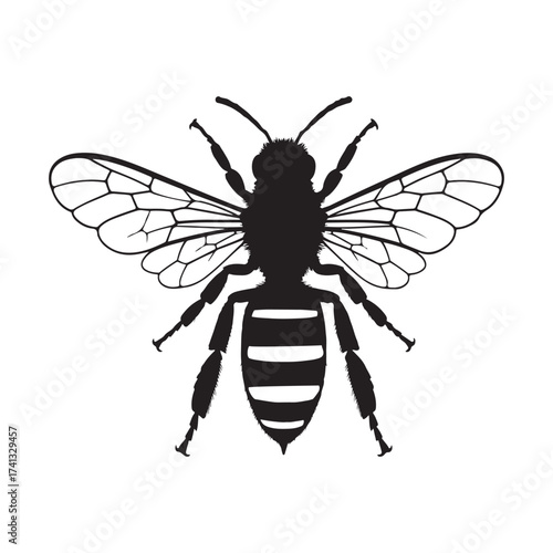 Black Silhouette of a Bee with Detailed Wings and Striped Abdomen