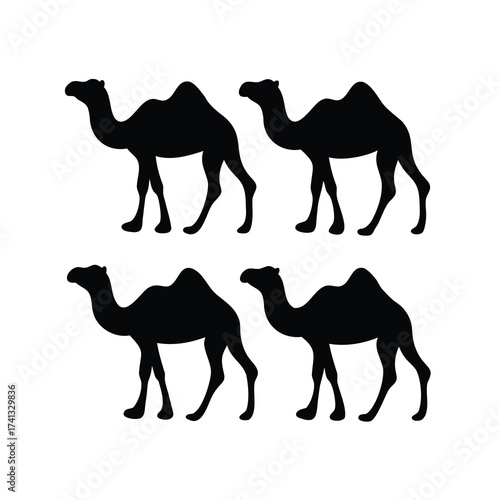 Four Camel Silhouettes on a White Background Showing Desert Animals
