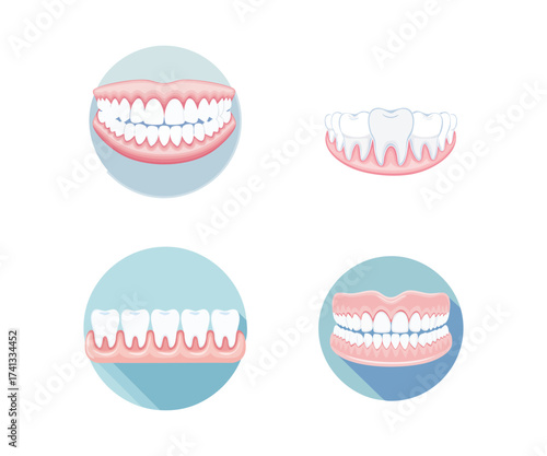 Tooth Illustrations