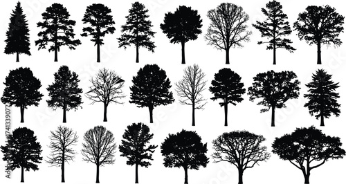 PrintTree silhouettes collection, different forest trees, nature design elements, botanical illustration, woodland plants, black silhouette set, eco background, seasonal diversity, landscape design