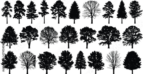 Tree silhouettes set, forest collection, black nature design, woodland plants, eco illustration, landscape background, seasonal diversity, environment art, natural growth, greenery