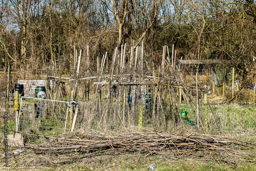 bean poles in the vegetable garden of the city garden in winter