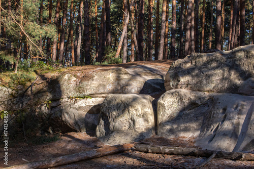 Morgendliche Stimmung an den kleinen Sandsteinhöhlen im Harz