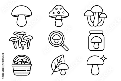 Mushroom line icon set. Fungi foraging, picking collection. Vector linear symbols for UI, web. Editable stroke. Champignon, amanita, chanterelle, magic mushroom illustration.