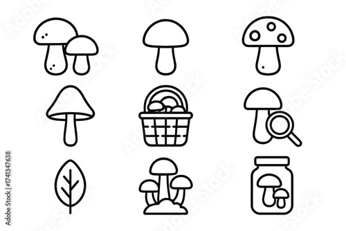 Mushroom line icon set for foraging, picking and preserving. Vector collection of forest food symbols. Editable stroke for web, ui, app. Minimal outline illustration.