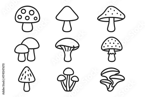 Mushroom line icon set. Fungi collection with different types of mushrooms like amanita, oyster. Simple outline vector illustration for web, apps. Editable stroke design.