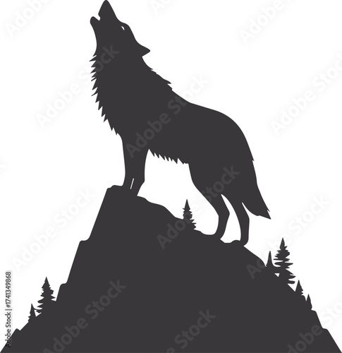wolf in the night