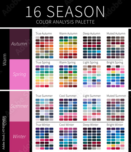 16 Season Color Analysis Palette for Winters, Springs, Autumns and Summers