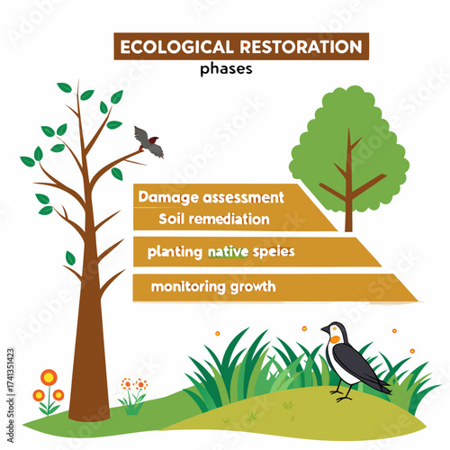Ecological restoration phases illustrated with trees birds and flowers showing damage assessment soil remediation planting native species and monitoring growth