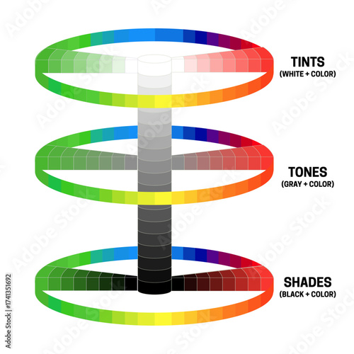Tints, Tones and Shades 3d Chart Illustration for Color Theory