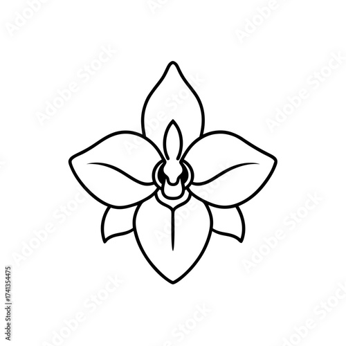 Outline of a single orchid flower on transparent background