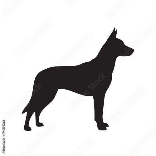 A sleek black silhouette of a standing dog with pointed ears and a slender build, isolated on white background, showcasing its elegant and alert posture