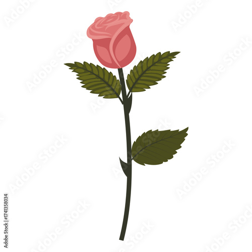 Dusty pink rose. Elegant flower on slightly inclined stem. Vector illustration isolated on white background.