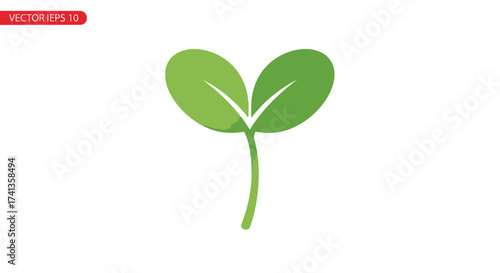 Vibrant Green Sprout with Two Leaves Emerging.