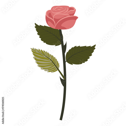 Dusty pink rose. Flower on slightly inclined stem. Vector illustration isolated on white background.