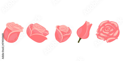 Set of light pink roses for your design. Vector illustration isolated on white background.