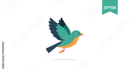 A small colorful bird in mid-flight with teal wings and orange chest.