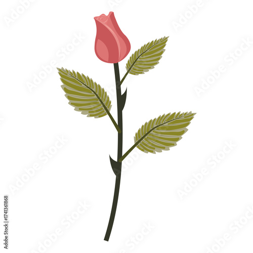 Dusty pink rose. Bud on slightly inclined stem. Vector illustration isolated on white background.