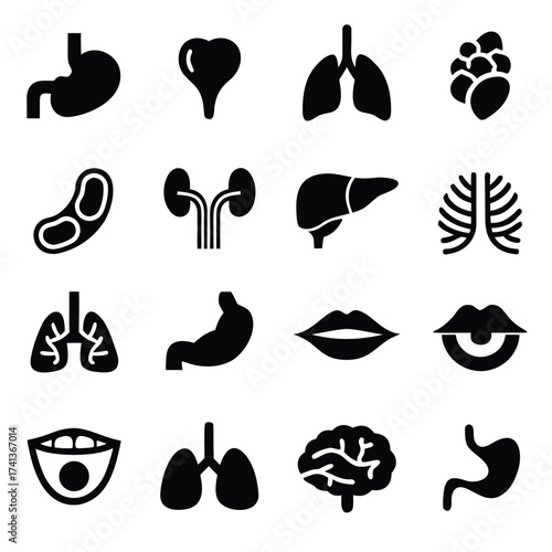 Collection of black human organ icons including stomach lungs liver brain kidneys and mouth vector