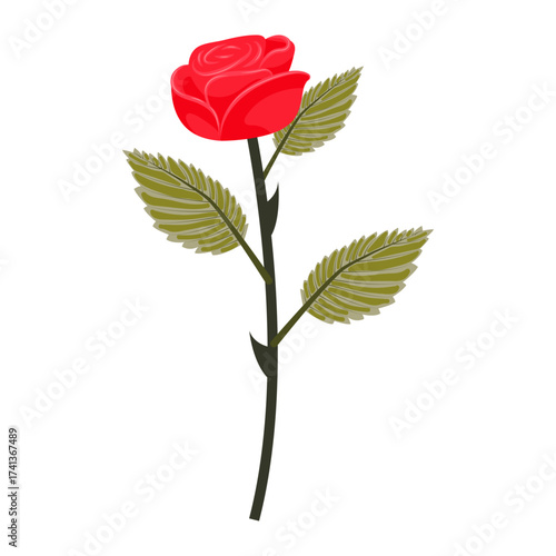 Bright red rose. Flower on a slightly inclined stem. Vector illustration isolated on a white background.