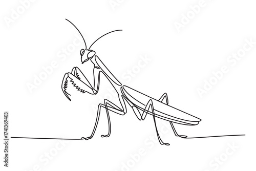 Continuous one line drawing of a mantis