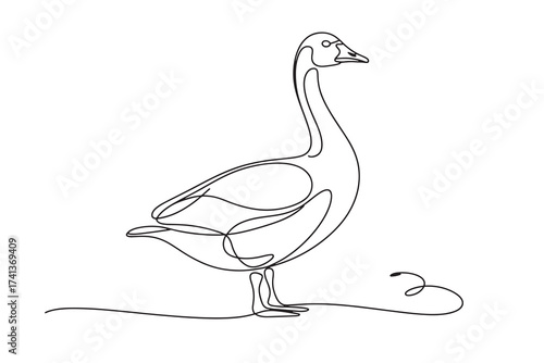  a single continuous line drawing of a goose standing on a, elegant and minimalist