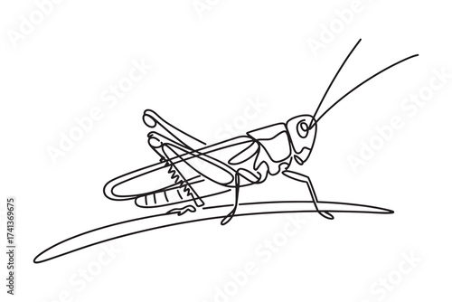  a simple line drawing of a grasshopper sitting on a blade of grass