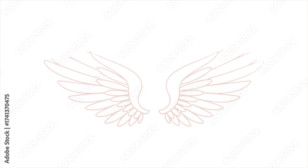 Fototapeta premium Delicate Stylized White Angel Wings Outline Illustration.