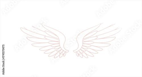 Delicate Stylized White Angel Wings Outline Illustration.
