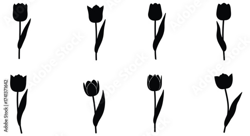 Minimalist black tulip silhouettes arranged on a clean white background