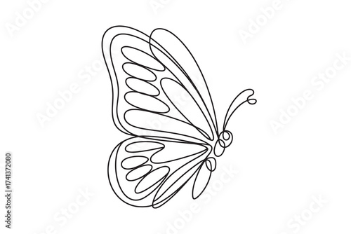   continuous line drawing of a butterfly
